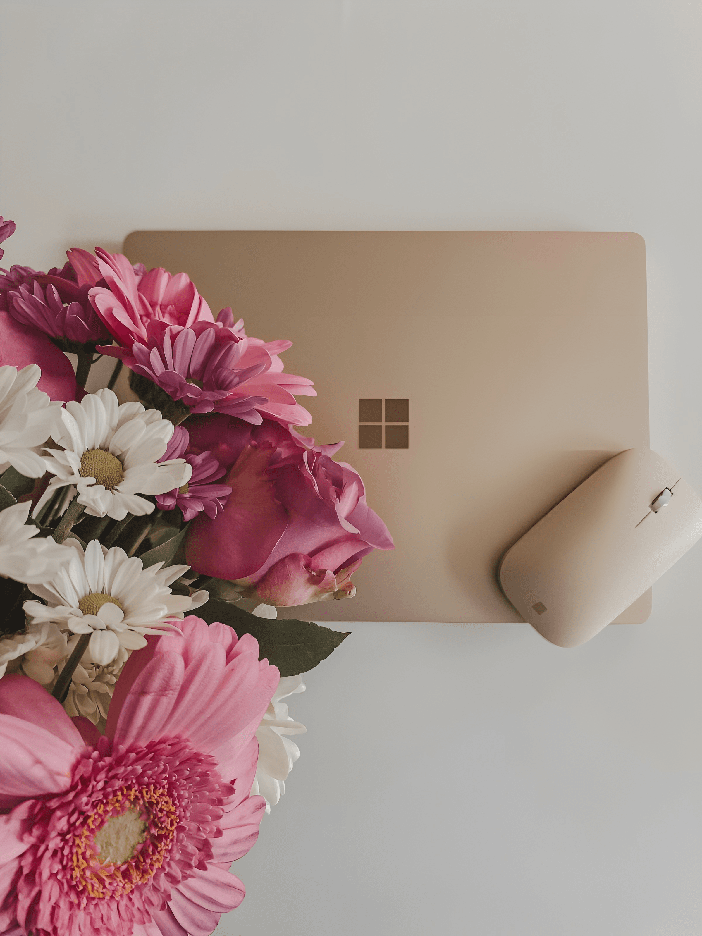 Campaign with Microsoft