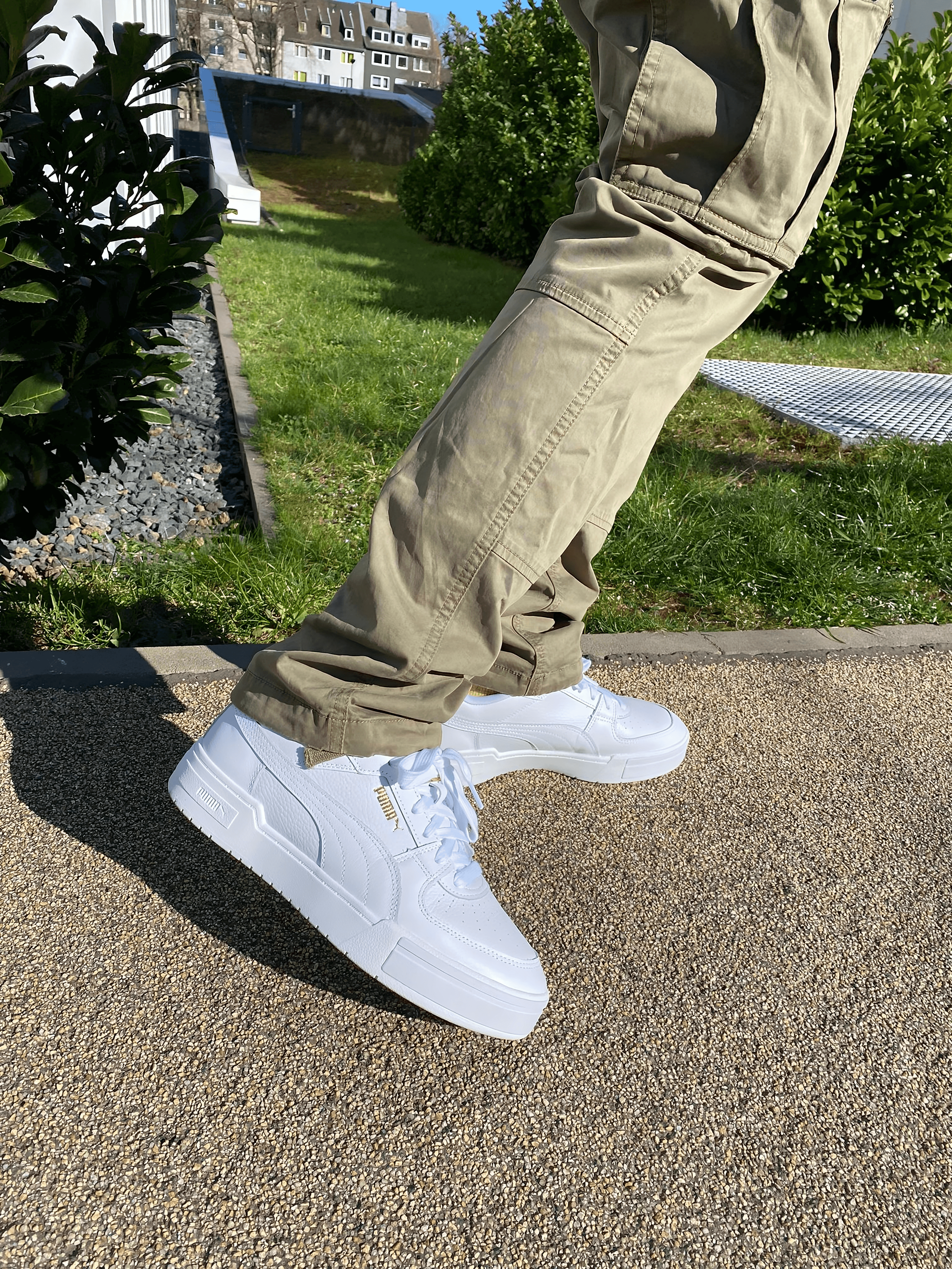 Puma